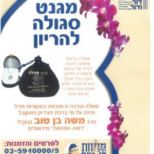 שרשרת פריון